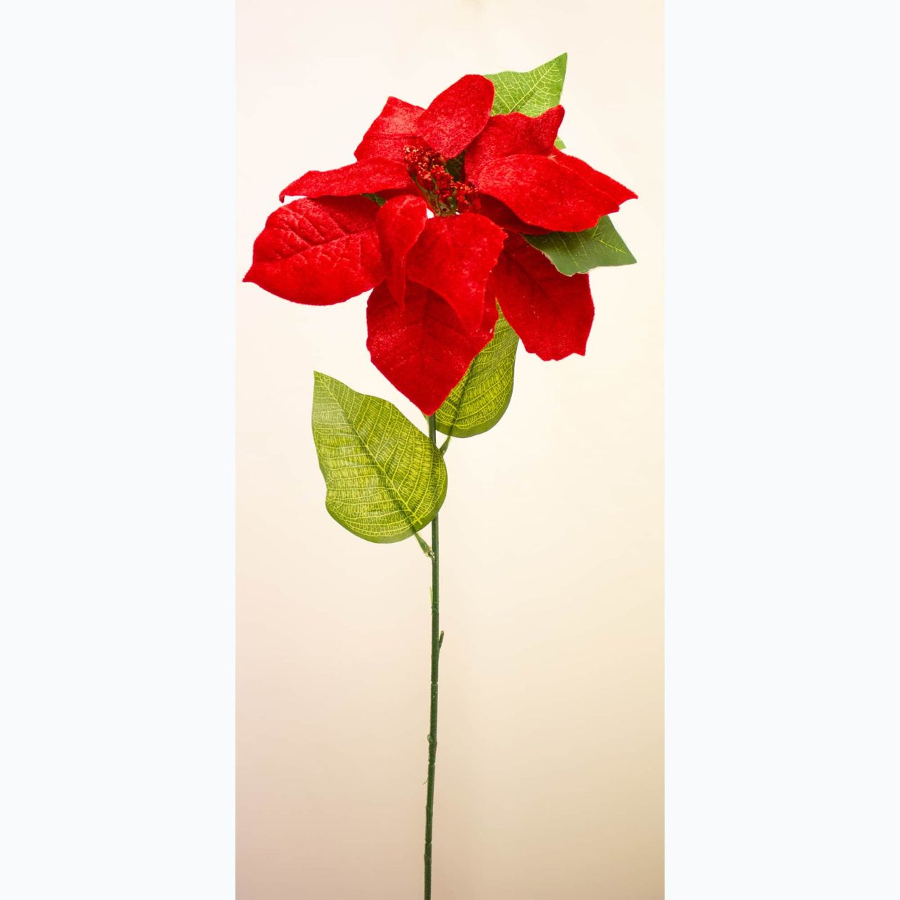 Christmas Velvet Poinsettia Stem by Enchante 70 cm  We have a beautiful range of faux flowers and wreaths available, so whether you’re after a seasonal display for your home, a garland of foliage for the staircase, stunning spring wreath you can use year after year, we’ve got you covered.