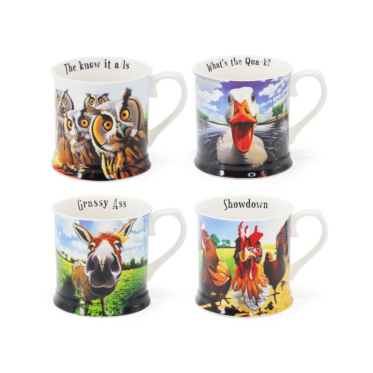 Get ready to crack a smile with the New Beyond the Herd collection, a delightful series of tankard mugs by artist Eoin O'Connor! This set of four mugs features a charming mix of Irish animals—owls, donkeys, ducks, and chickens—each with their own playful personality and funny twist.