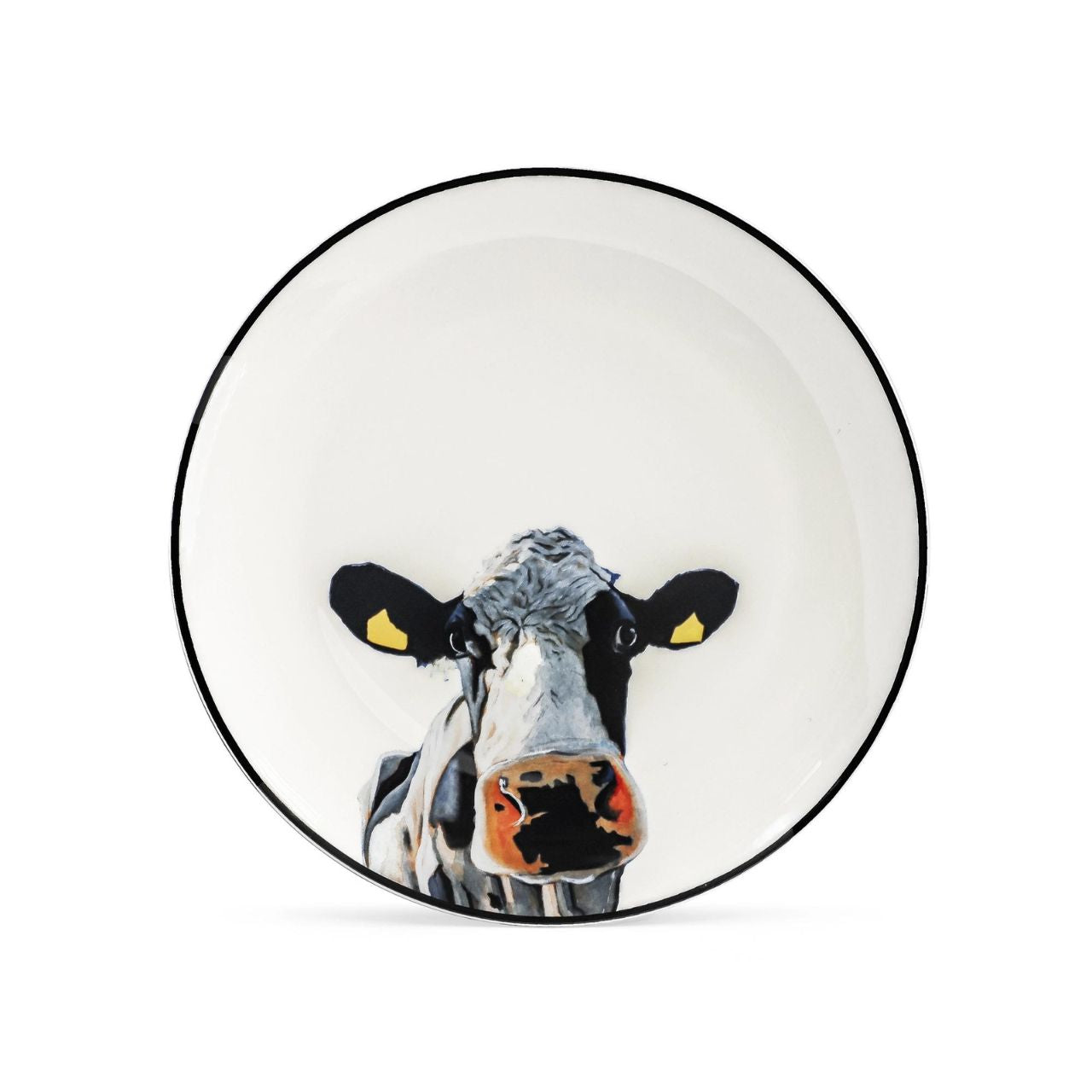 Eoin O'Connor S/4 Dinner Plates  Tipperary Crystal in association with Irish Artist Eoin O Connor are delighted to present you our new Cafe Range. These high quality designs come wonderfully presented in funky rigid gift boxes... keepsakes in themselves! They make the perfect gifts for any occasion or a treat for yourself!!