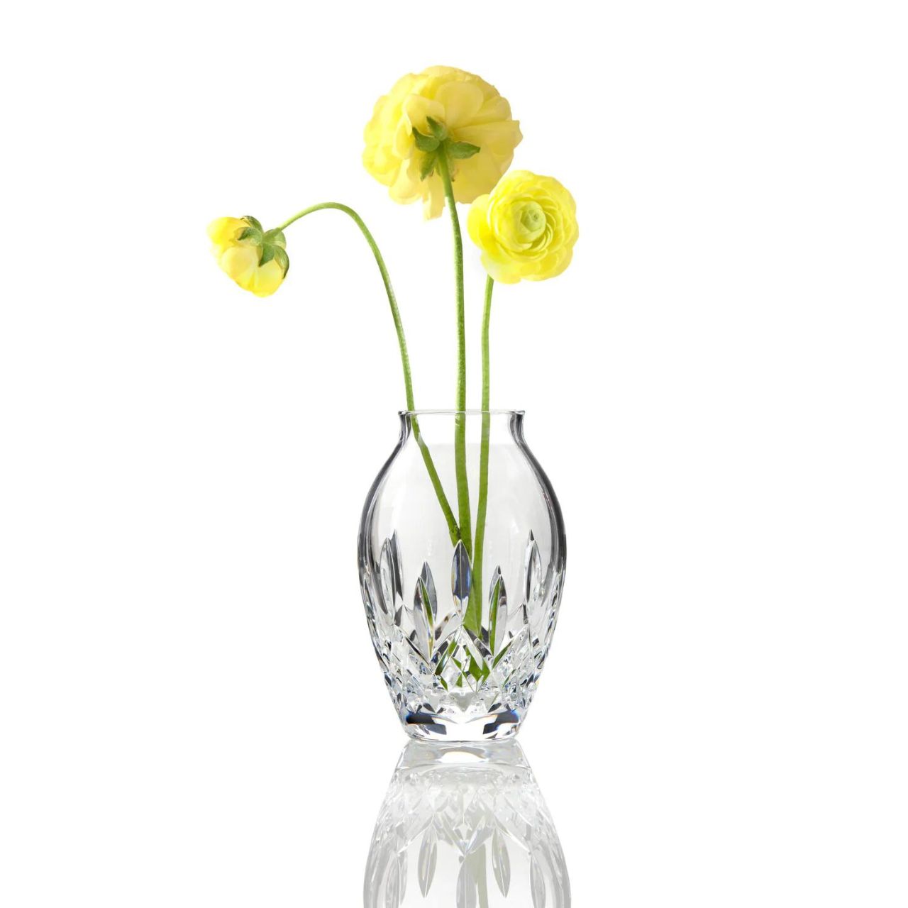 Giftology Lismore Candy 13cm Bud Vase by Waterford The Giftology collection features Waterford's best crystal gifts in compelling gift boxes designed in 5 different eye-catching colour schemes with opulent gold touches. We think of Giftology as the science of gift giving in a fast paced world.