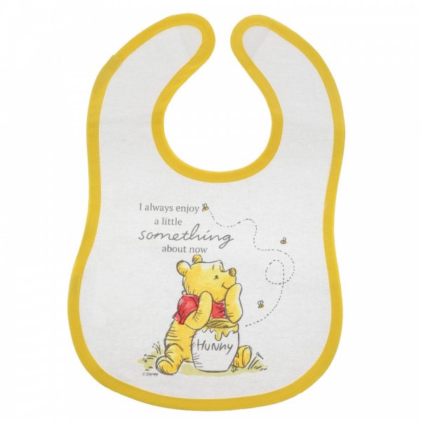 Disney Winnie The Pooh Bib (Set of 2)