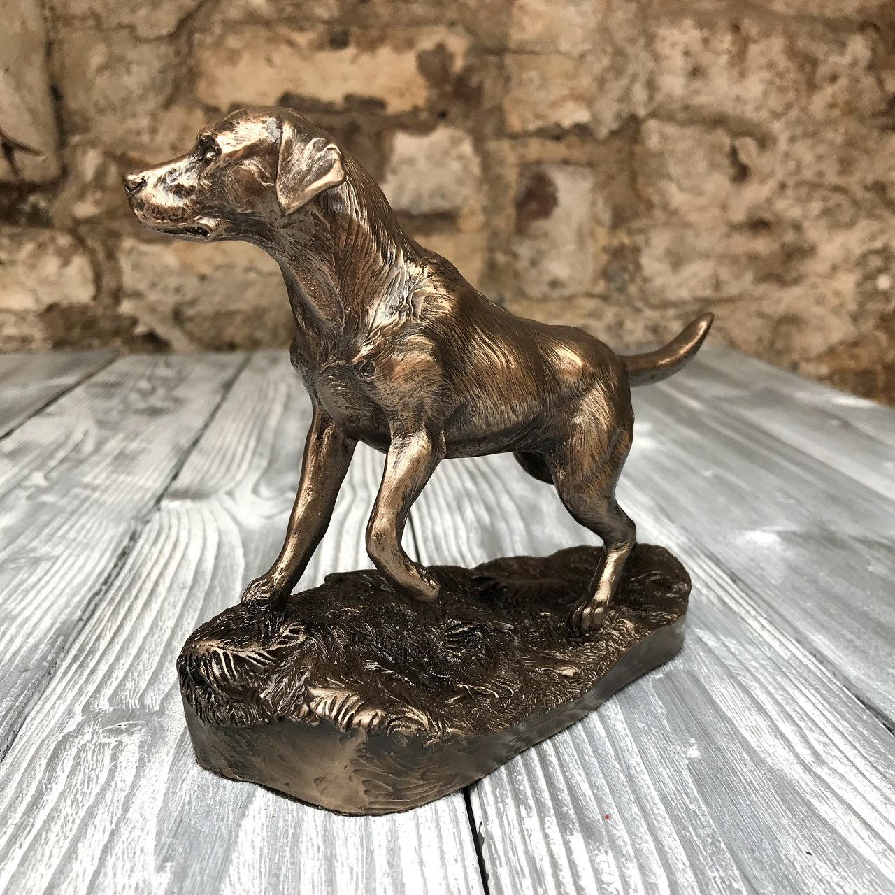 Genesis Labrador A beautiful piece of bronze sculpture depicting a Labrador. Genesis Fine Arts has evolved into a much loved and world famous Irish brand to produce a striking range of handcrafted cold cast bronze sculptures.