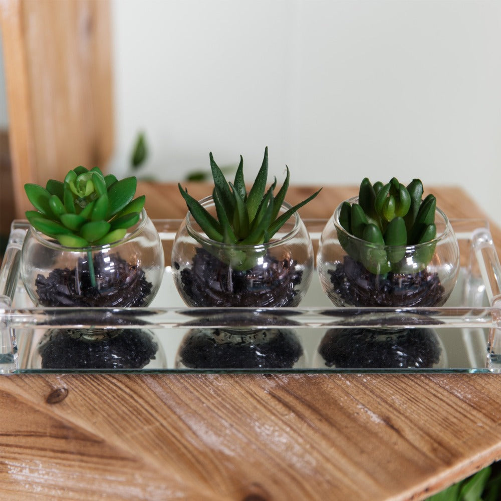 Glass Mini Terrariums With A Mirrored Tray Set of 3 A beautiful glass mini terrarium tray with artificial succulents. From the Retreat collection by HESTIA® - create a haven of soothing minimalism at home.