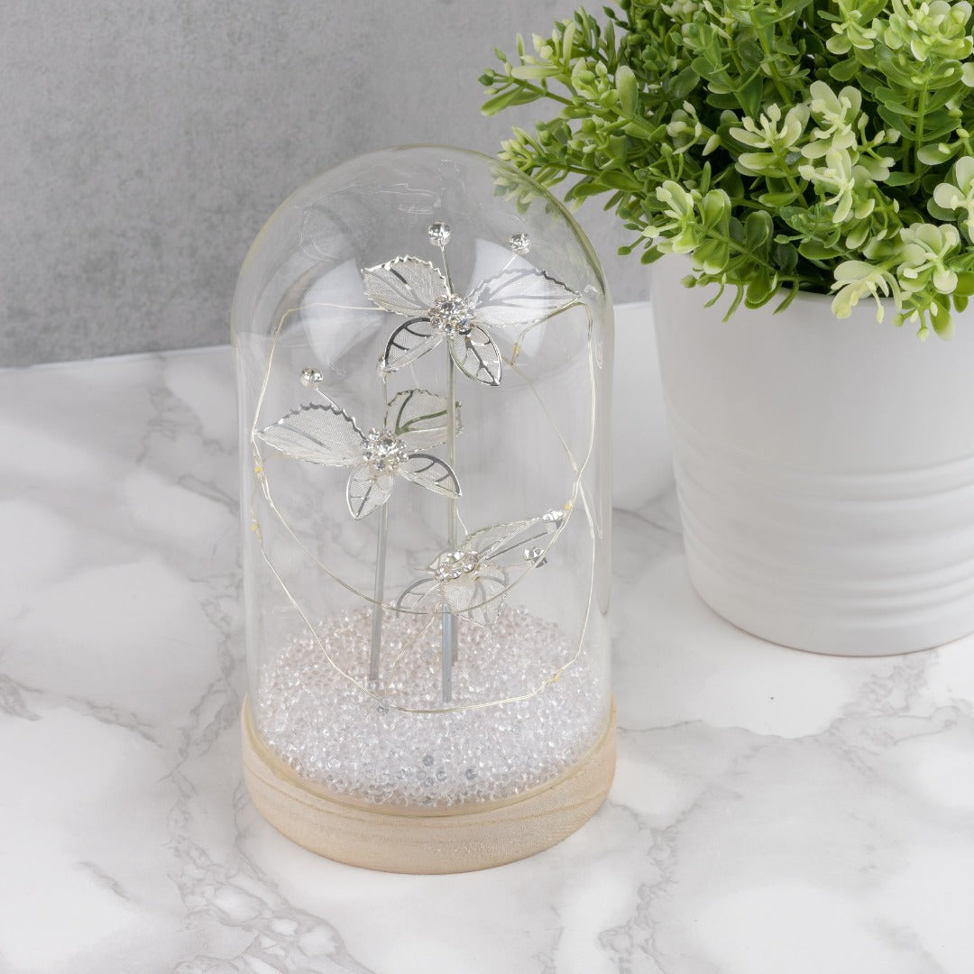 Jewel Butterfly Light Up LED Large Cloche