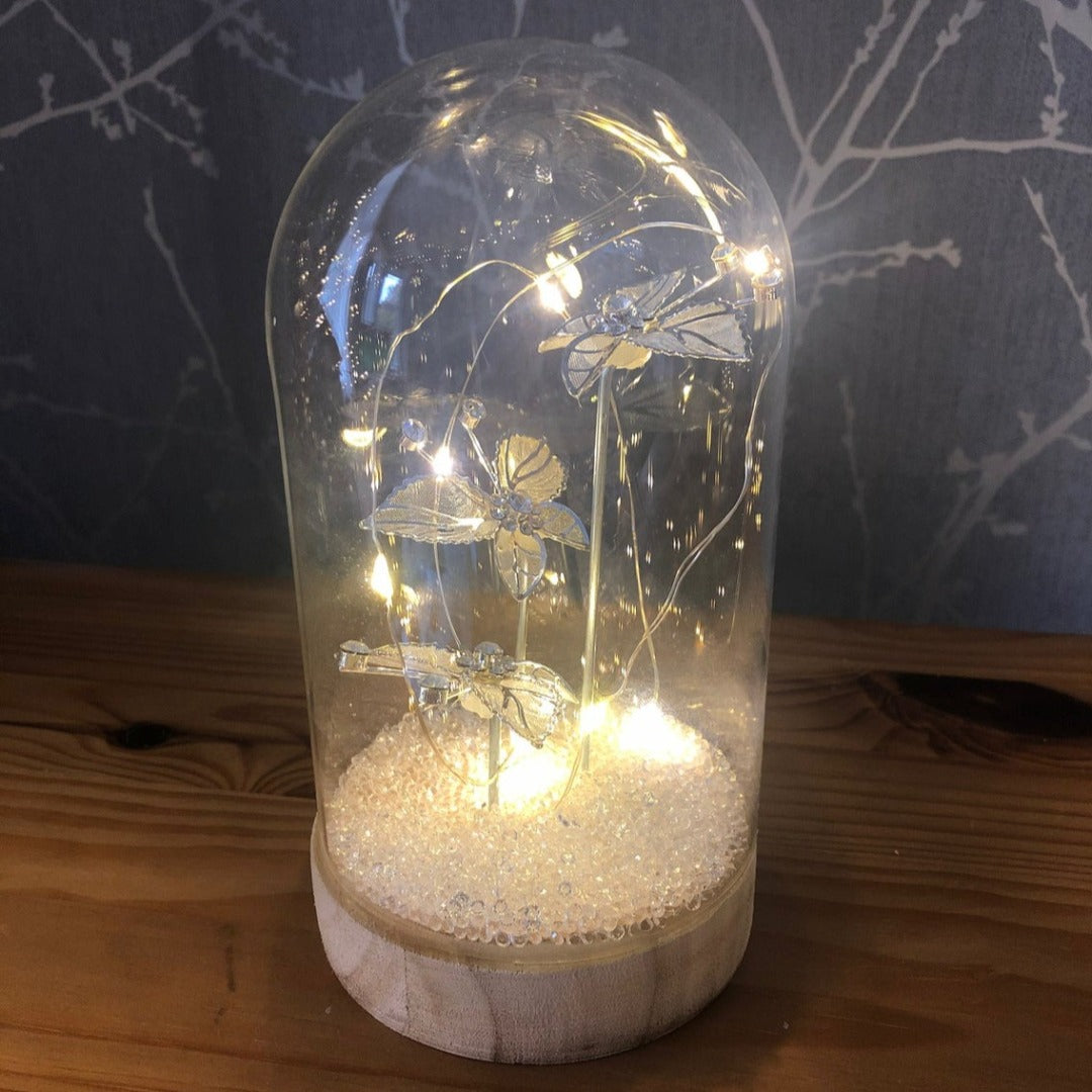 Jewel Butterfly Light Up LED Large Cloche