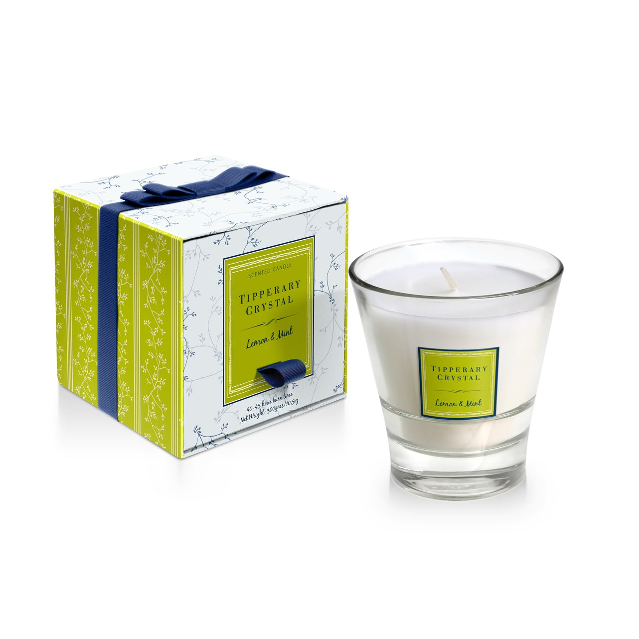 Lemon & Mint Filled Tumbler Glass