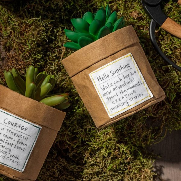 Lori Siebert Plant Kindness - So Good Lori Siebert combined inspiration from the row of succulents on her daughter's windowsill with her whimsical, artistic celebration of life to form the Plant Kindness collection. Give Plant Kindness - So Good to someone who lives life joyfully or is in need of cheering up.
