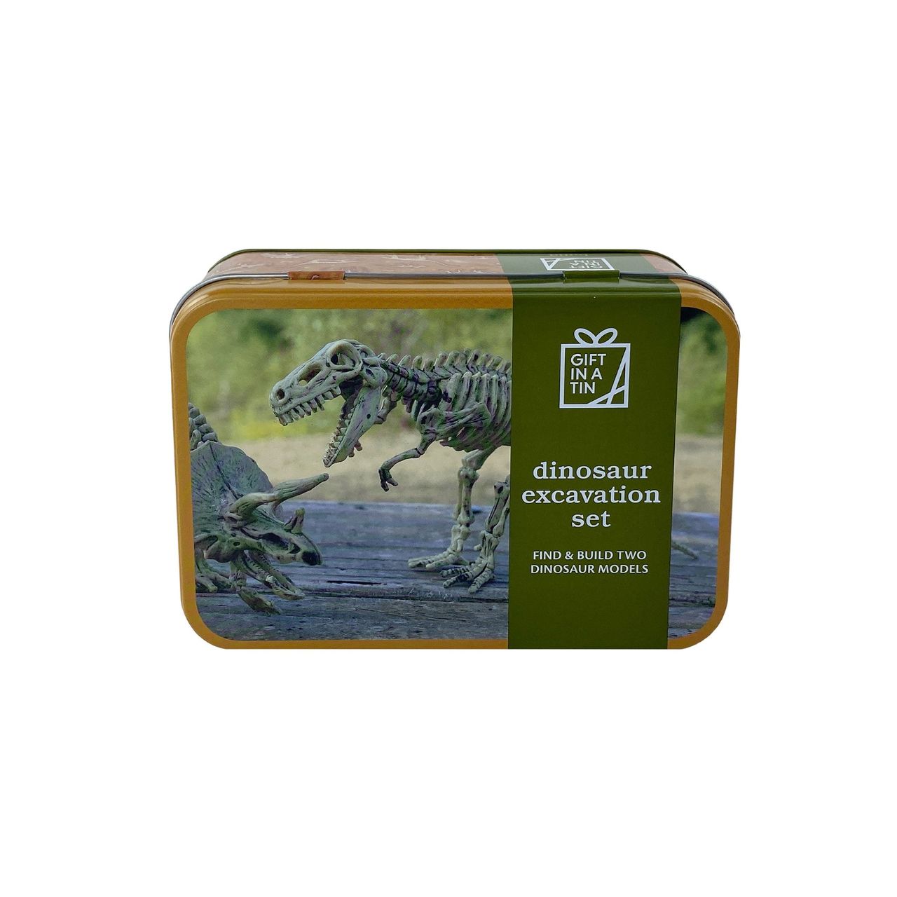 A dinosaur excavation kit from Gift in a Tin by APPLES TO PEARS.