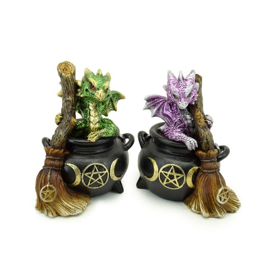 Elements Baby Dragon in Magical Witches Cauldron with Broomstick
