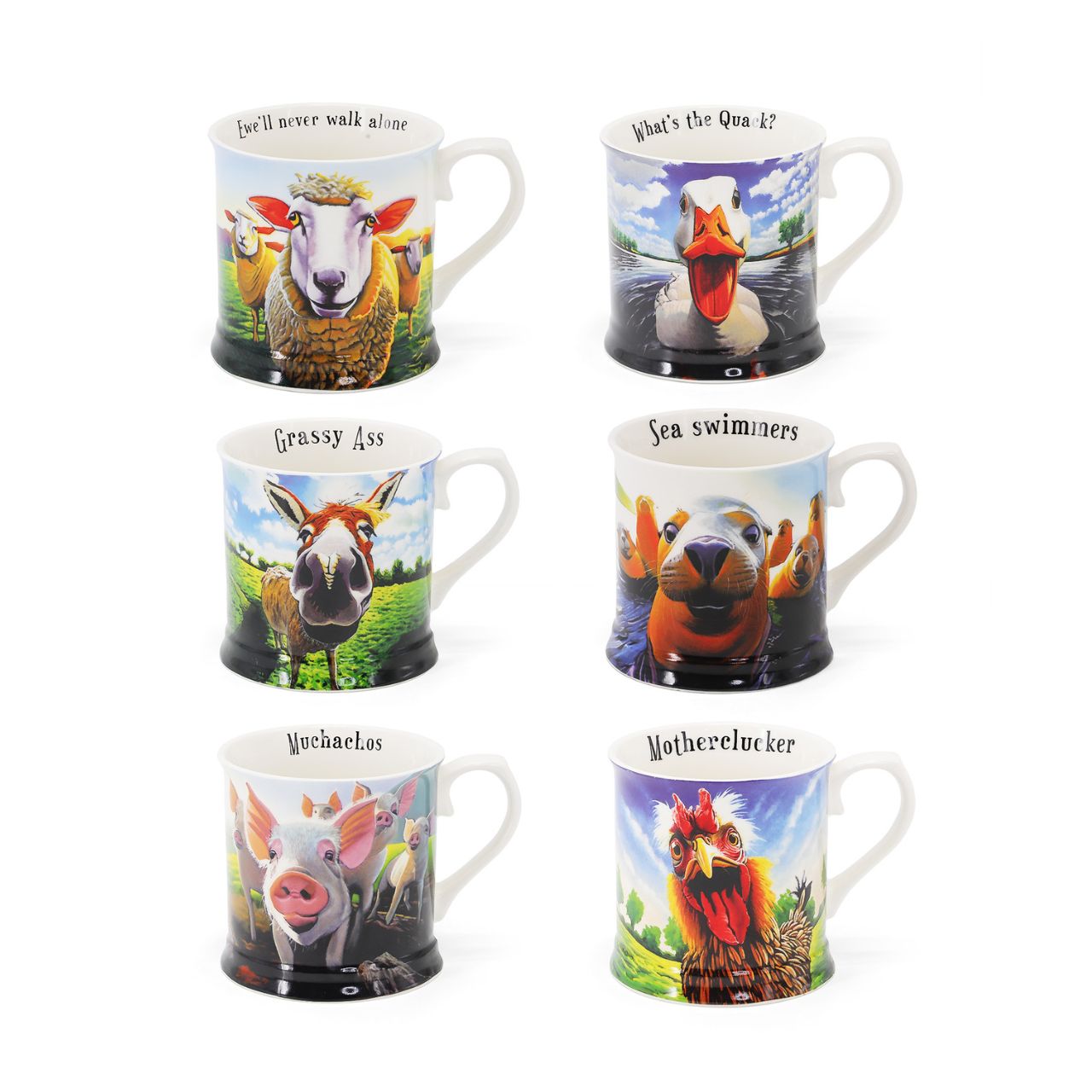 Get ready to crack a smile with the New Beyond the Herd collection, a delightful series of tankard mugs by artist Eoin O'Connor! This set of six mugs features a charming mix of Irish animals, each with their own playful personality and funny twist.