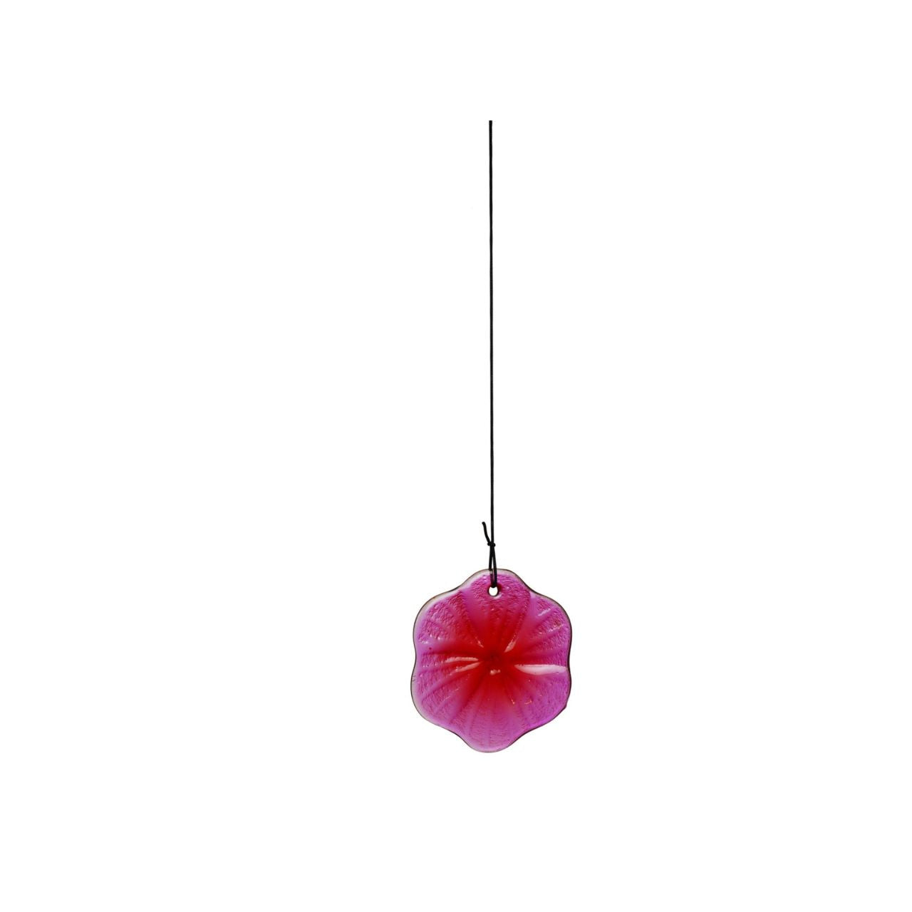 A decorative solar windchime featuring a colourful butterfly design, bringing a vibrant, nature-inspired touch to any outdoor space. The delicate detailing and soft blend of colours create an eye-catching feature for gardens, patios, or balconies.