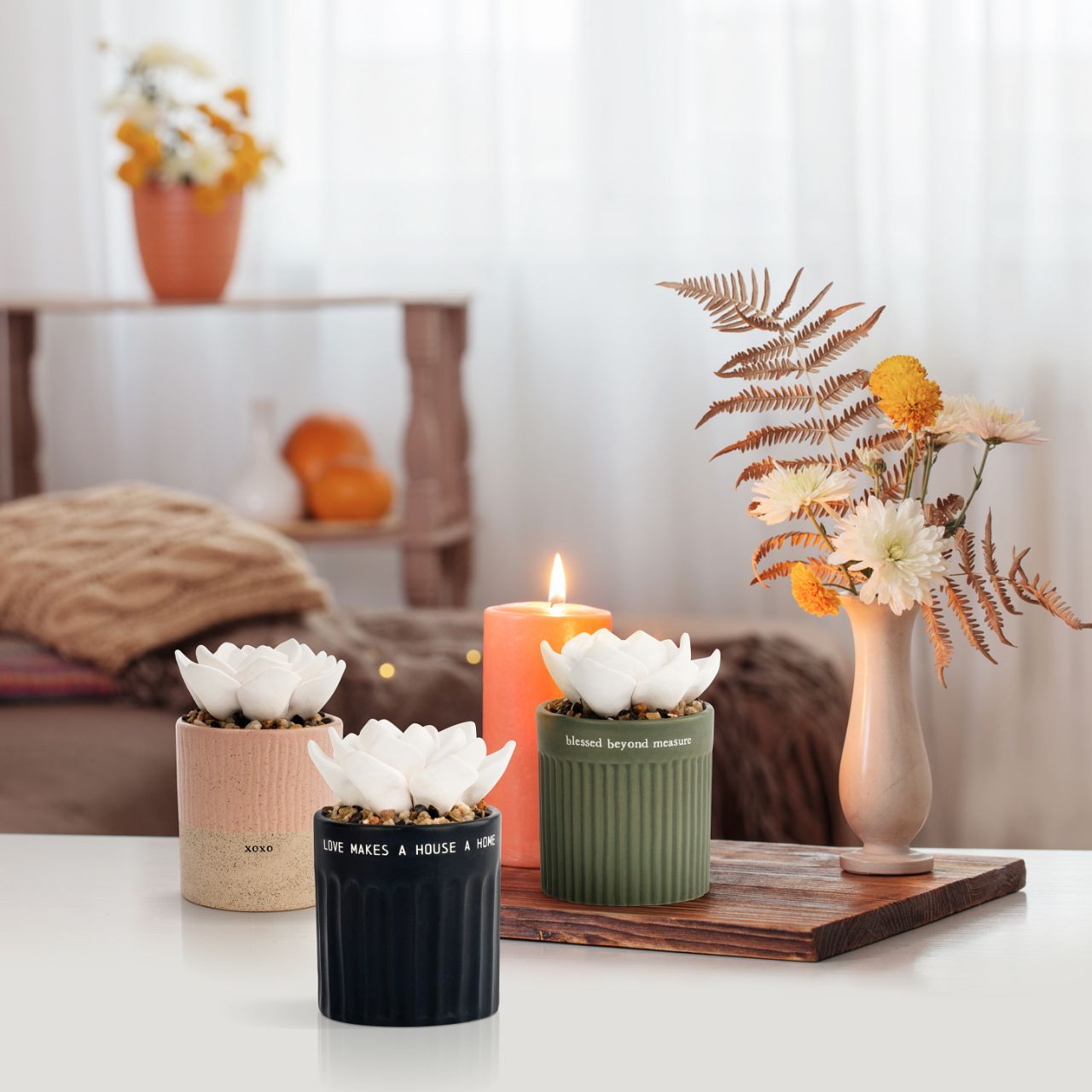 Succulent Oil Diffuser - Blessed by Demdaco  "Blessed beyond measure"  Give the ability to create quiet, peaceful moments whenever needed with hand-sculpted, artisan aromatherapy. Our Succulent Oil Diffuser - Blessed is an individually crafted ceramic pot with decorative rocks and a beautiful white succulent on top. You can place a few drops of essential oil on the succulent for slow, relaxing oil diffusion. The soft green colour with the sentiment, "Blessed beyond measure," adds to the calming effect.