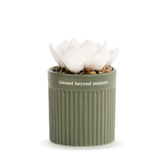 Succulent Oil Diffuser - Blessed by Demdaco  "Blessed beyond measure"  Give the ability to create quiet, peaceful moments whenever needed with hand-sculpted, artisan aromatherapy. Our Succulent Oil Diffuser - Blessed is an individually crafted ceramic pot with decorative rocks and a beautiful white succulent on top. You can place a few drops of essential oil on the succulent for slow, relaxing oil diffusion. The soft green colour with the sentiment, "Blessed beyond measure," adds to the calming effect.