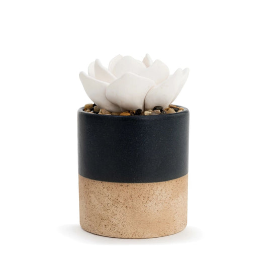 Succulent Oil Diffuser - Navy by Demdaco  Give the ability to create quiet, peaceful moments whenever needed with hand-sculpted, artisan aromatherapy. Our Succulent Oil Diffuser - Navy is an individually crafted ceramic pot with decorative rocks and a beautiful white succulent on top. You can place a few drops of essential oil on the succulent for slow, relaxing oil diffusion.