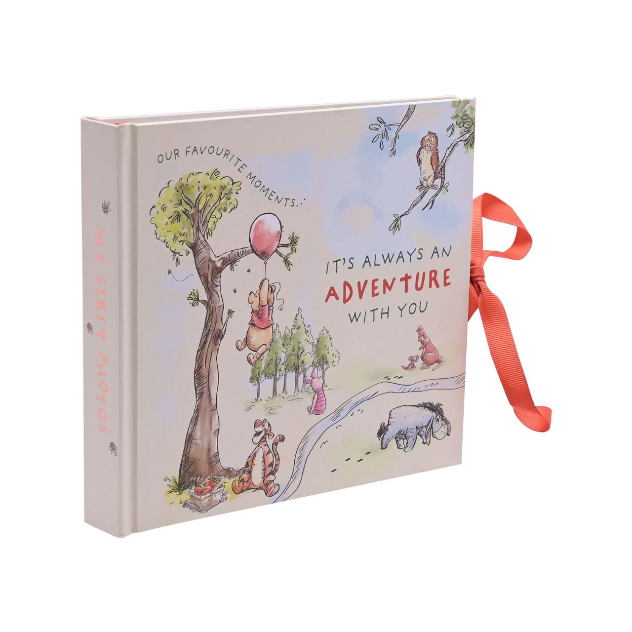 This delightful photo album makes a heart-warming memento of precious moments with new family arrivals.