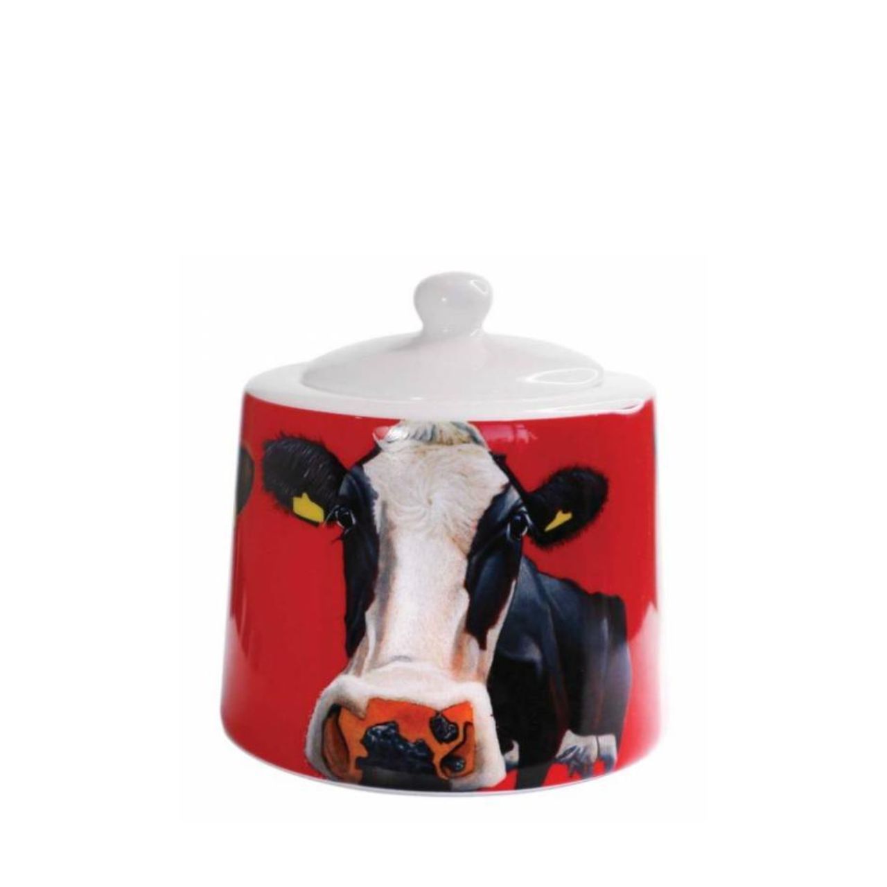 This set of milk jug and sugar bowl have iconic Eoin O'Connor designs on the outside.
Made from New Bone China and presented in a beautiful cow print gift box.