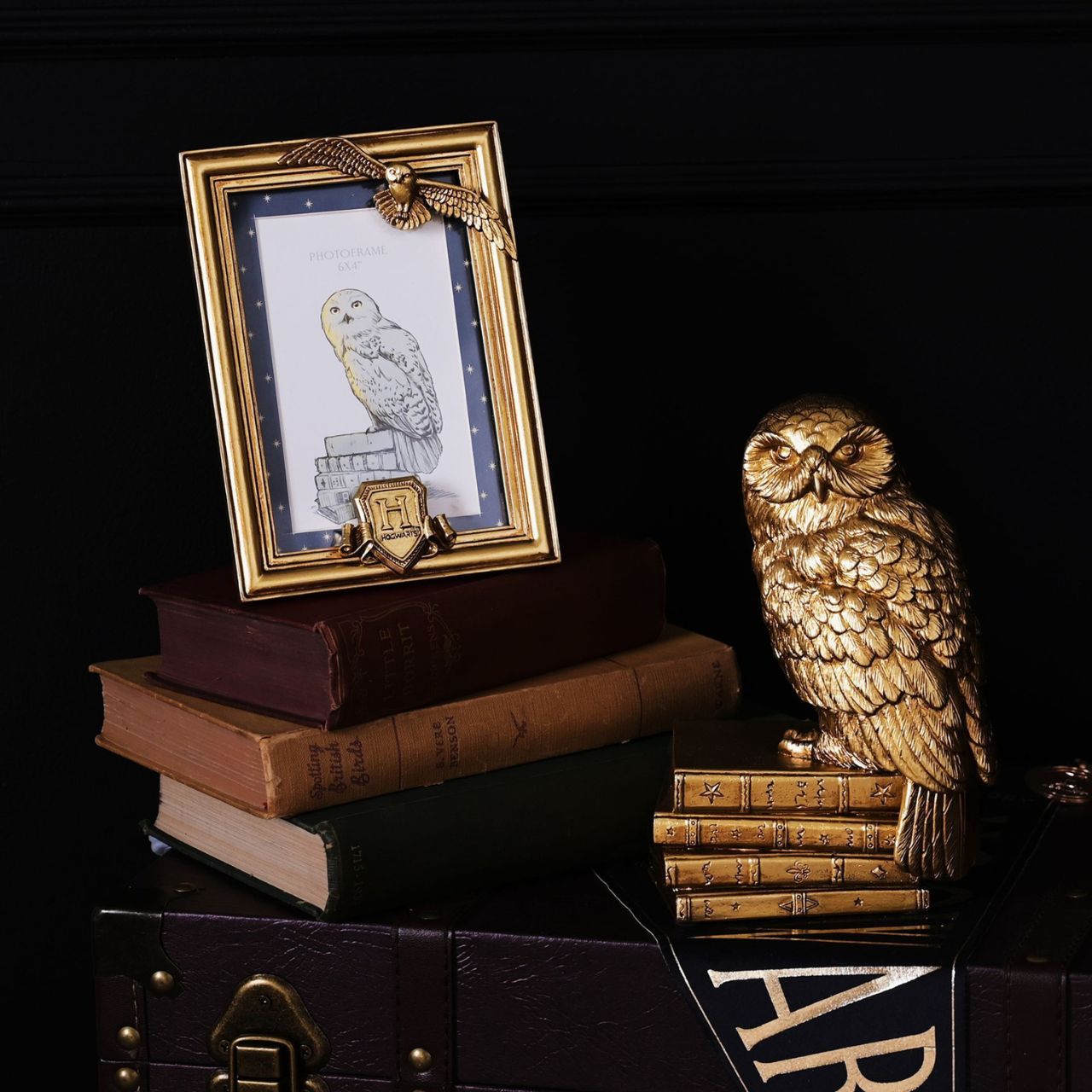 This iconic photo frame provides ever-lasting Hogwarts magic at home for fans of the wizarding world.