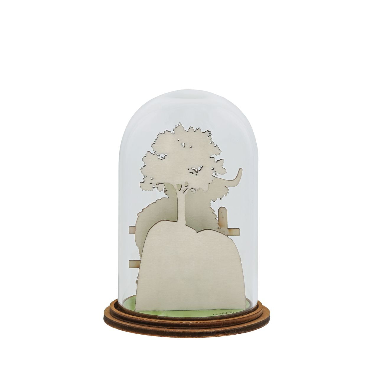 The decorative and eco-friendly kloche will make a stunning display in any home. Presented in a branded unique giftbox.