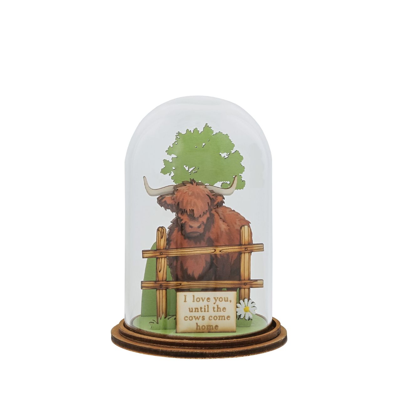 The decorative and eco-friendly kloche will make a stunning display in any home. Presented in a branded unique giftbox.