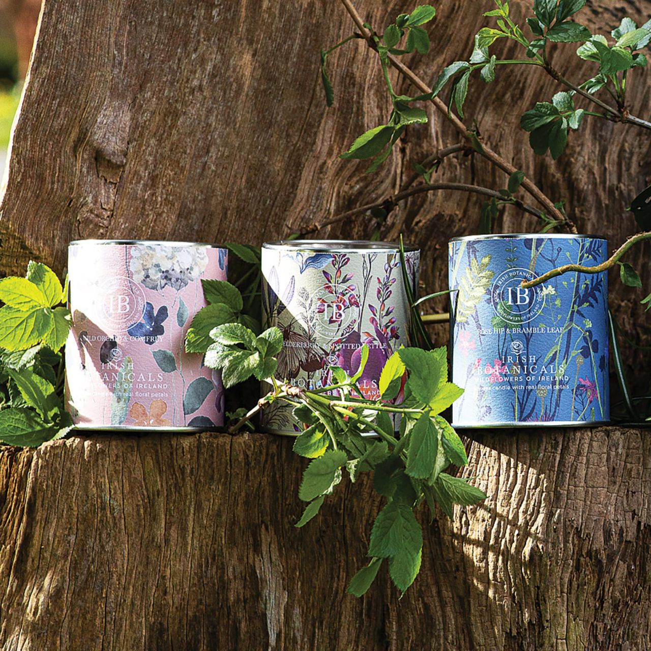 Expand your offerings with the Irish Botanicals Elderberry and Spotted Nettle Tin Candle, featuring harmonious Irish fragrances complemented by real dried flowers. Encased in an eye-catching, decorative tin, this candle combines portability with sophistication, appealing to customers seeking elegance and relaxation