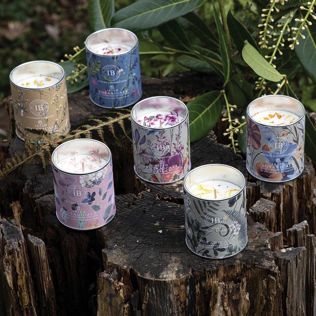 Expand your offerings with the Irish Botanicals Elderberry and Spotted Nettle Tin Candle, featuring harmonious Irish fragrances complemented by real dried flowers. Encased in an eye-catching, decorative tin, this candle combines portability with sophistication, appealing to customers seeking elegance and relaxation