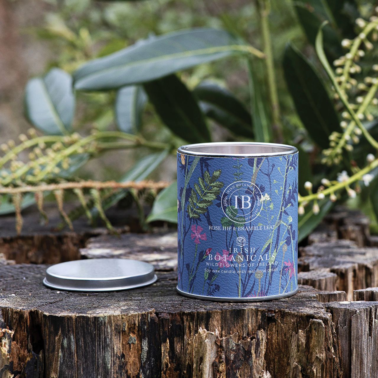 Featuring harmonious Irish fragrances complemented by real dried flowers. Encased in an eye-catching, decorative tin, this candle combines portability with sophistication, elegance and relaxation. Perfect for travel or home settings, its compact design and genuine botanical elements make it a versatile addition to your retail collection.