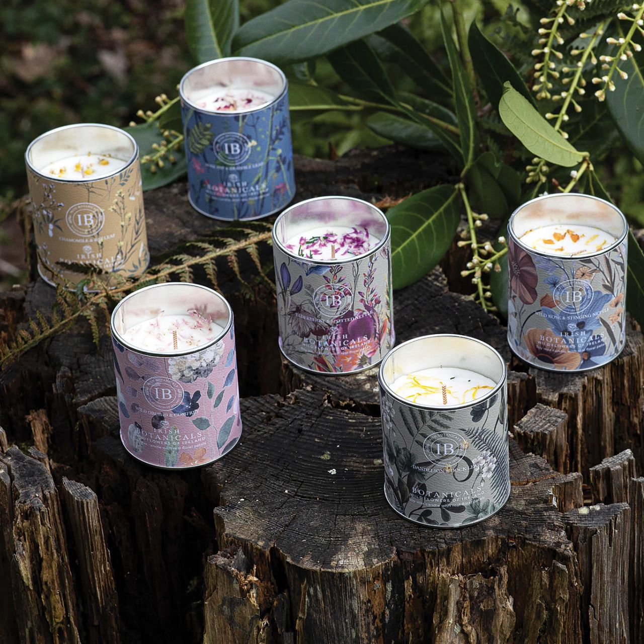 Featuring harmonious Irish fragrances complemented by real dried flowers. Encased in an eye-catching, decorative tin, this candle combines portability with sophistication, elegance and relaxation. Perfect for travel or home settings, its compact design and genuine botanical elements make it a versatile addition to your retail collection.