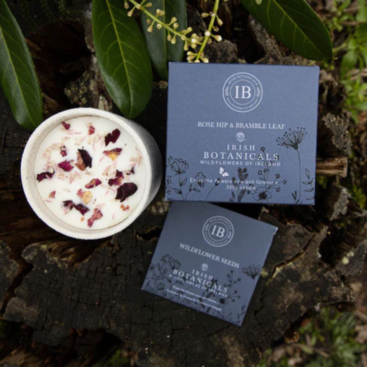 Crafted by Irish Botanicals, this ceramic candle captures the essence of Ireland's wild landscape through an elegant blend of rose hip and bramble leaf. The refined floral composition creates an atmosphere of tranquility, inviting you to escape into moments of serene contemplation. Perfect for those who appreciate the subtle beauty of nature's botanicals.