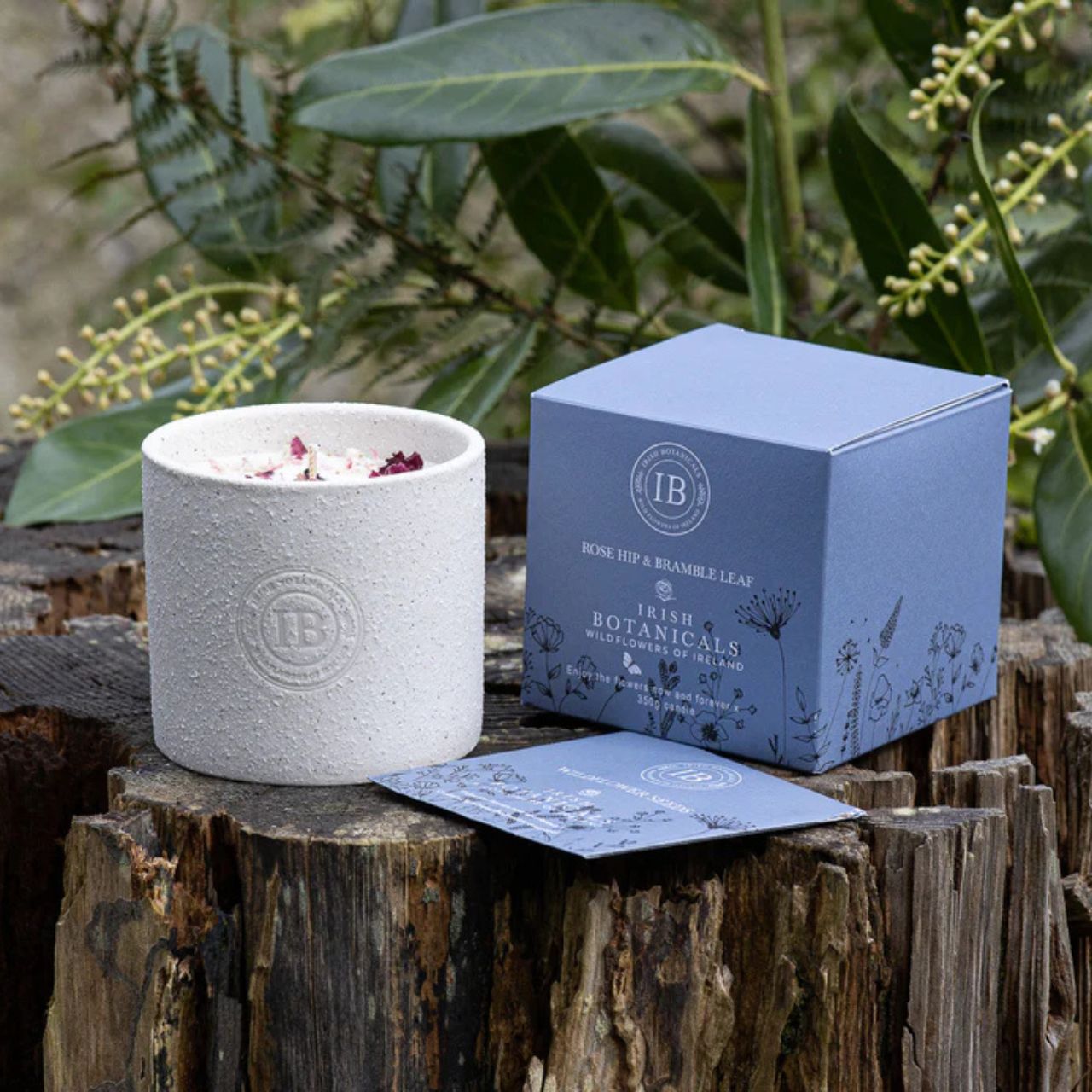 Crafted by Irish Botanicals, this ceramic candle captures the essence of Ireland's wild landscape through an elegant blend of rose hip and bramble leaf. The refined floral composition creates an atmosphere of tranquility, inviting you to escape into moments of serene contemplation. Perfect for those who appreciate the subtle beauty of nature's botanicals.