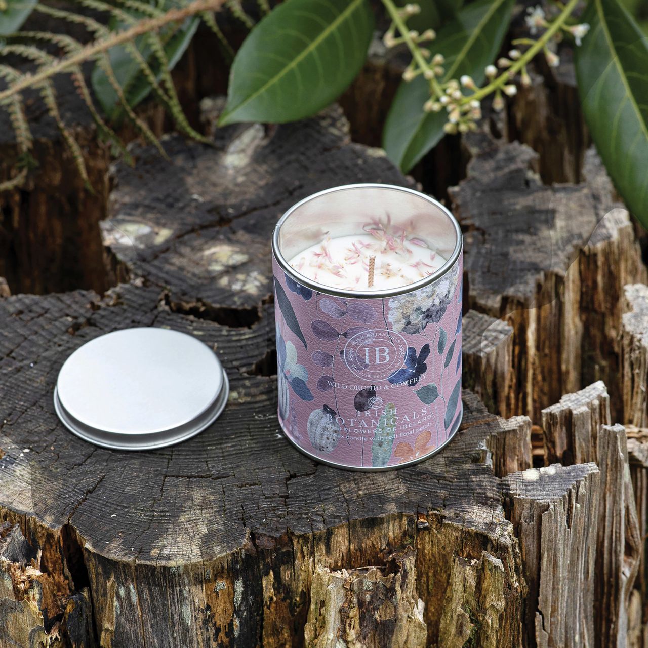 Featuring harmonious Irish fragrances, complemented by real dried flowers. Encased in an eye-catching, decorative tin, this candle combines portability with sophistication, appealing to those seeking elegance and relaxation.
