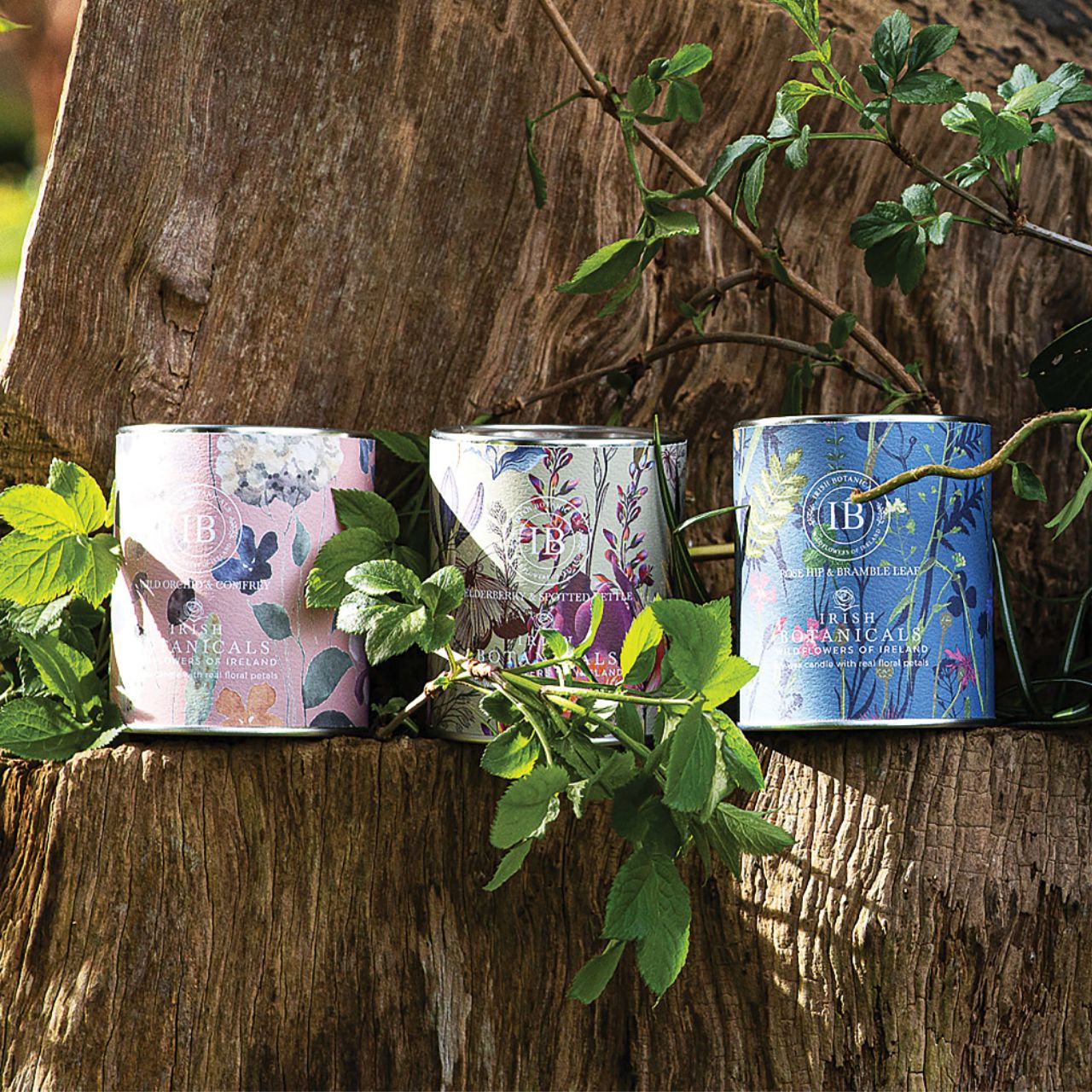 Featuring harmonious Irish fragrances, complemented by real dried flowers. Encased in an eye-catching, decorative tin, this candle combines portability with sophistication, appealing to those seeking elegance and relaxation.