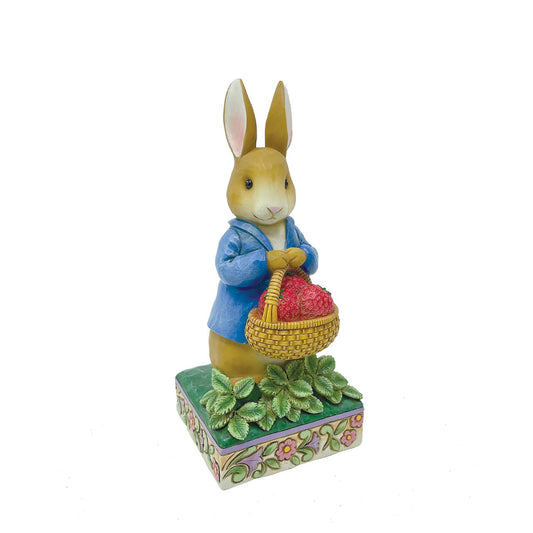 Beatrix Potter Peter Rabbit with Basket of Strawberries Figurine  Peter Rabbit with Basket of Strawberries Figurine Made from cast stone. Packed in a branded gift box. Unique variations should be expected as this product is hand painted. Not a toy or children's product.