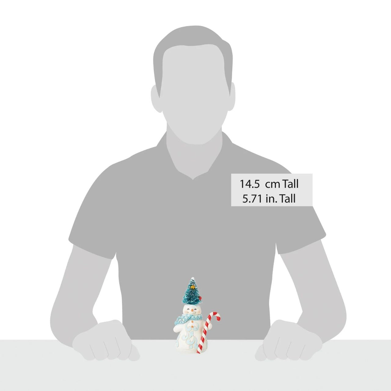 Good things come in small packages this pint sized snowman is now exception. Crafted for the Heartwood Creek collection by Jim Shore, he comes in fully branded packaging.