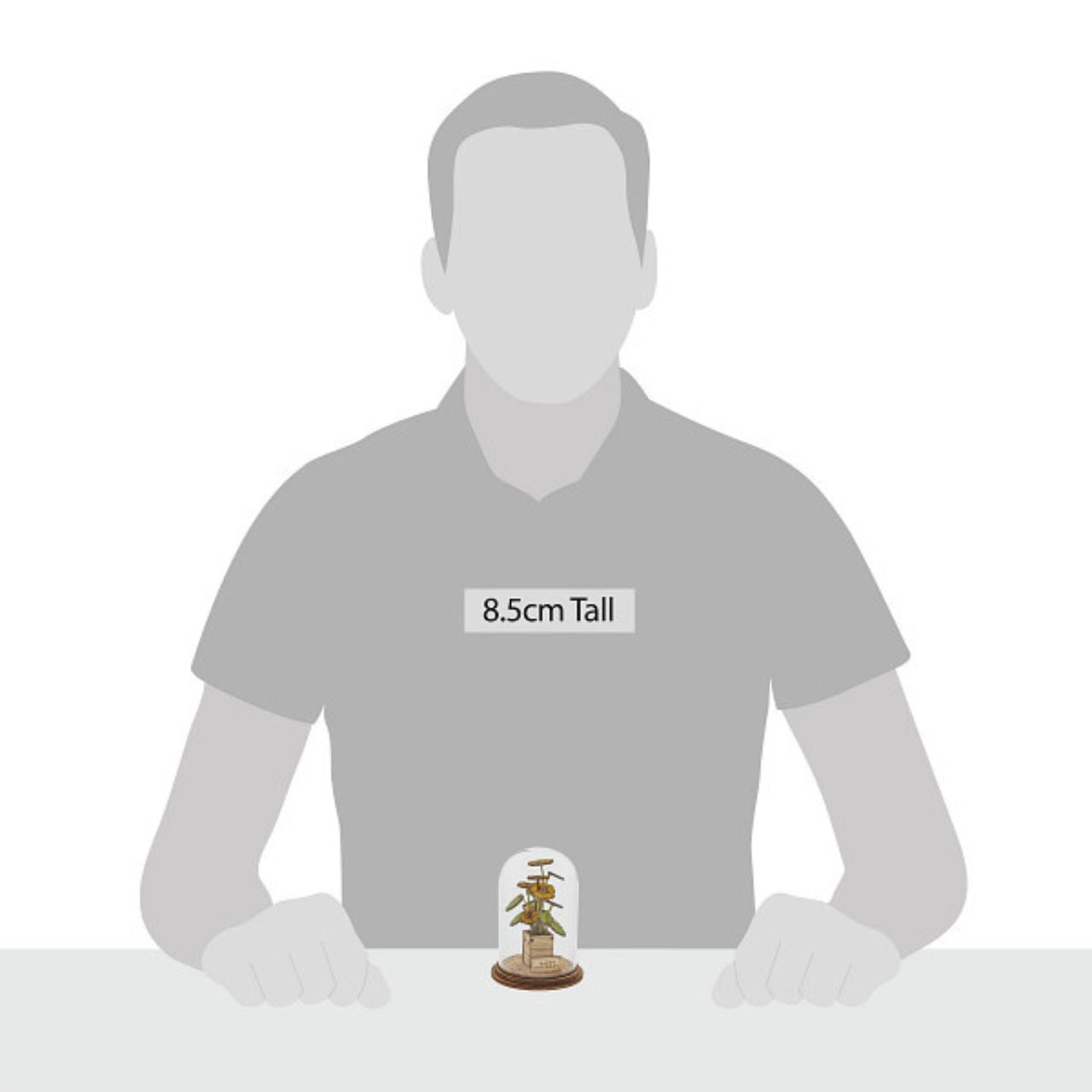 Celebrate an anniversary with this beautiful floral gift. This eco-friendly glass dome decoration encases a bunch of stunning purple and white flowers, adorned with a Happy Anniversary plaque. 