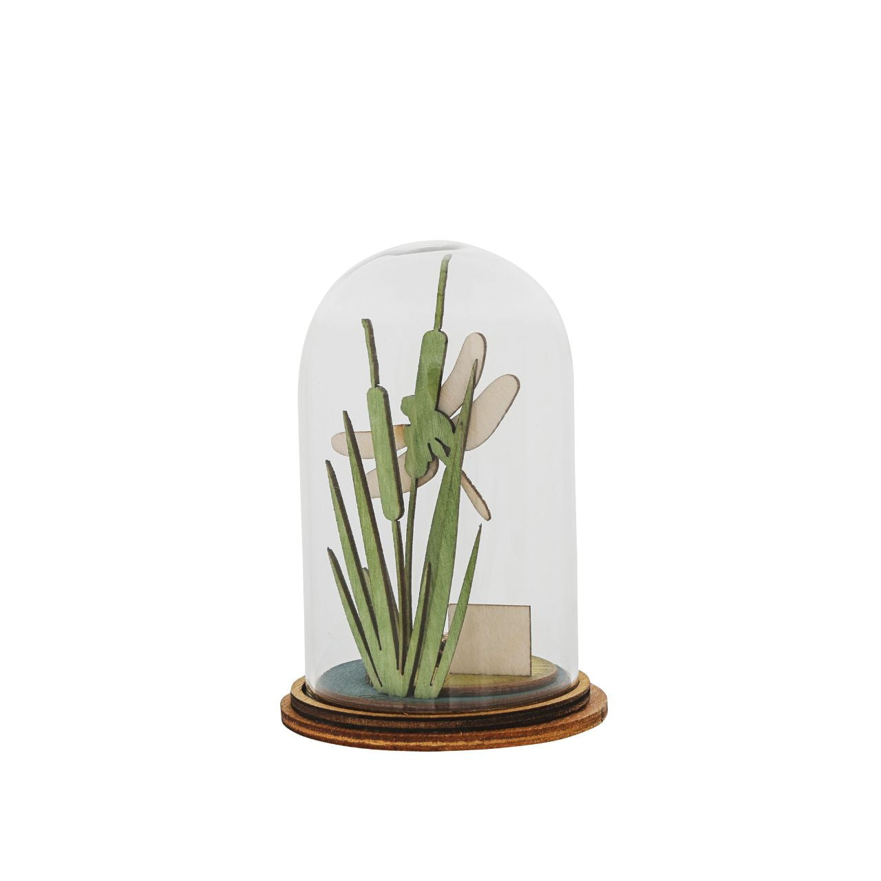 This wooden collectible is perfect for gifting or just to show off your love of nature. Its delicate design with glass dome and classic colours will fit into any decor.