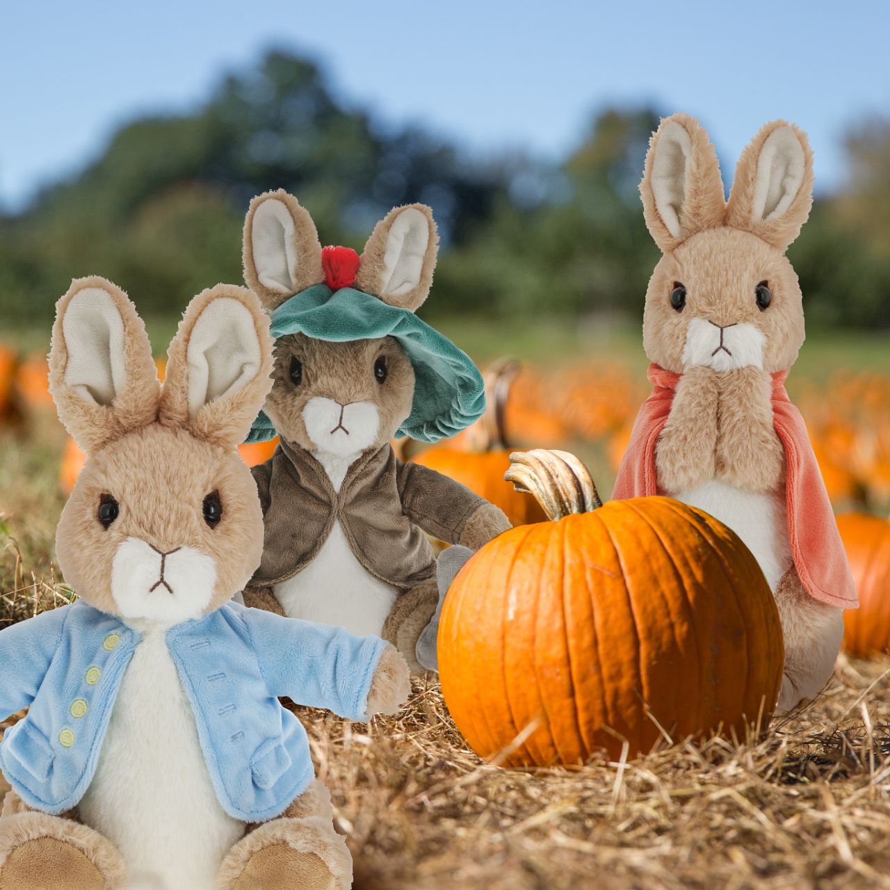 Beatrix Potter Flopsy Large  This Flopsy soft toy is made from beautifully soft fabric and is dressed in clothing exactly as illustrated by Beatrix Potter, with her signature red cape. The Peter Rabbit collection features the much loved characters from the Beatrix Potter books and this quality and authentic soft toy is sure to be adored for many years to come.