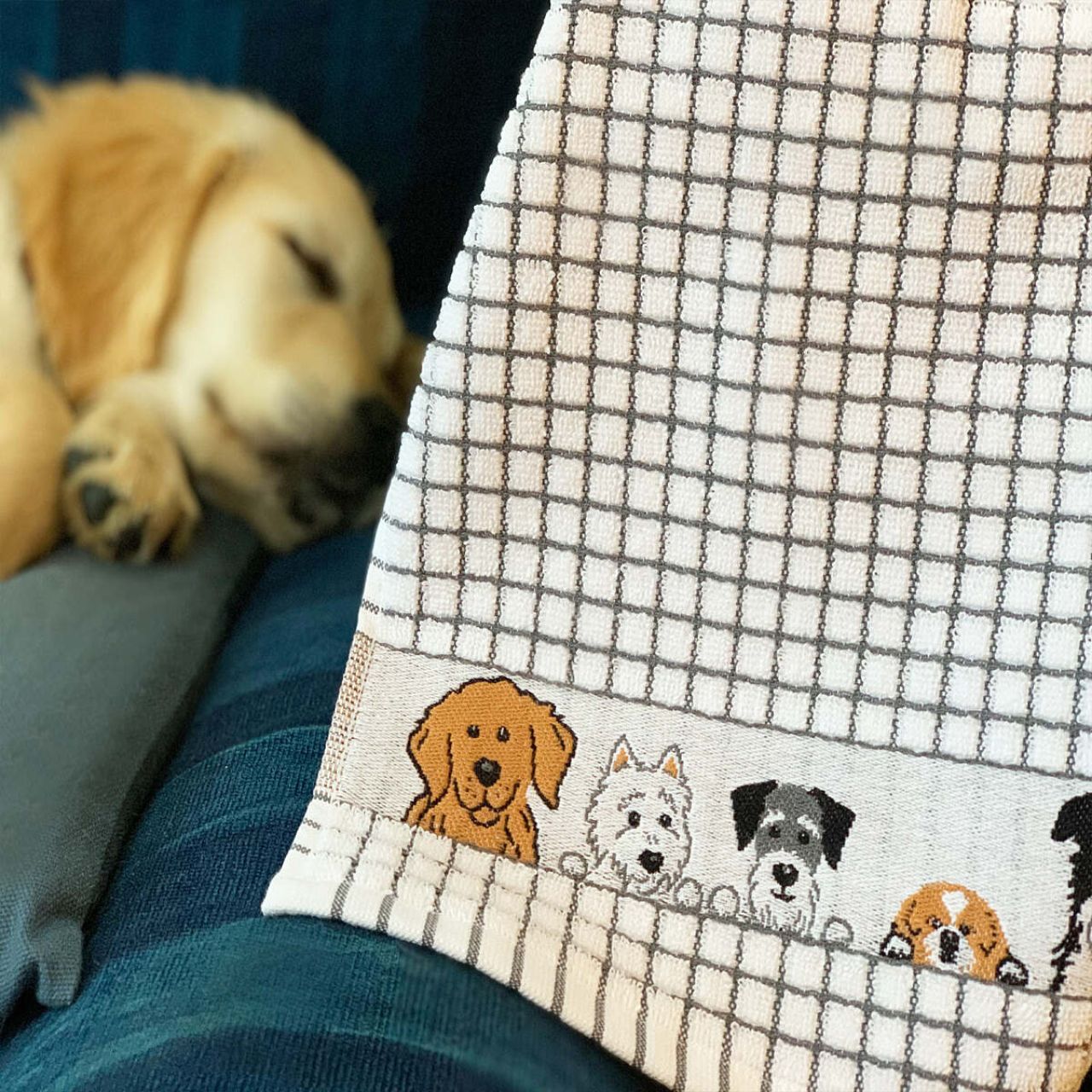 Our ultra-absorbent Dogs Jacquard woven Poli-Dri tea towel was first developed over forty years ago. It leads in absorbency and has proven to be significantly softer than any of its competitors.