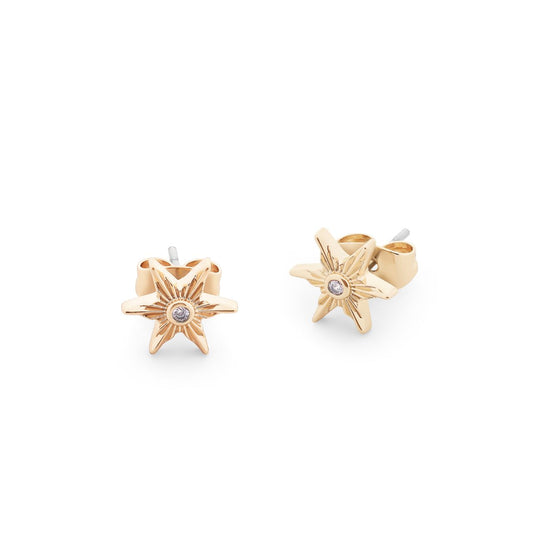 Compass Star Stud Earrings Gold by Tipperary - New 2024  Showcase your sense of style with this beautiful Gold Tipperary Compass Star earrings. Crafted with exquisite attention to detail, this piece of jewellery is a timeless addition to any wardrobe. Both durable and elegant, ensuring it will remain a treasured item for many years to come.