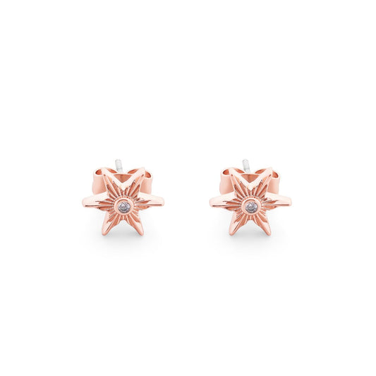 Compass Star Stud Earrings Rose Gold by Tipperary - New 2024  Showcase your sense of style with this beautiful Rose Gold Tipperary Compass Star earrings. Crafted with exquisite attention to detail, this piece of jewellery is a timeless addition to any wardrobe. Both durable and elegant, ensuring it will remain a treasured item for many years to come.