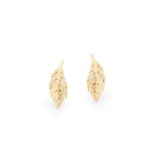 Feather Mini Gold Stud Earrings by Tipperary  The Tipperary Feather Mini Stud Earrings Gold are a stylish and understated addition to any wardrobe. These lovely earrings feature a gold finish, making them perfect for any occasion. Crafted from quality materials, these earrings are sure to last for years.