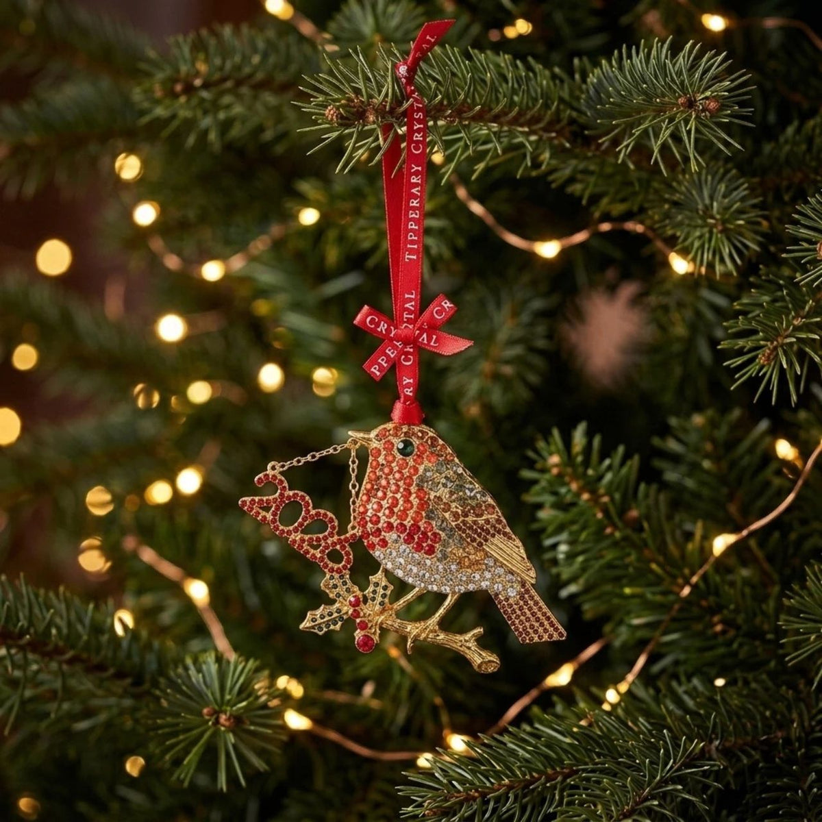 Celebrate Christmas 2026 with one of the most recognisable symbols of the festive season — the robin. Often associated with Christmas, winter and treasured memories, the robin has a special place in our hearts and is a much-loved sight in gardens and homes throughout the festive season.