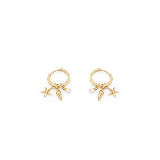 Under The Sea Pearl Shell & Starfish Gold Earrings By Tipperary