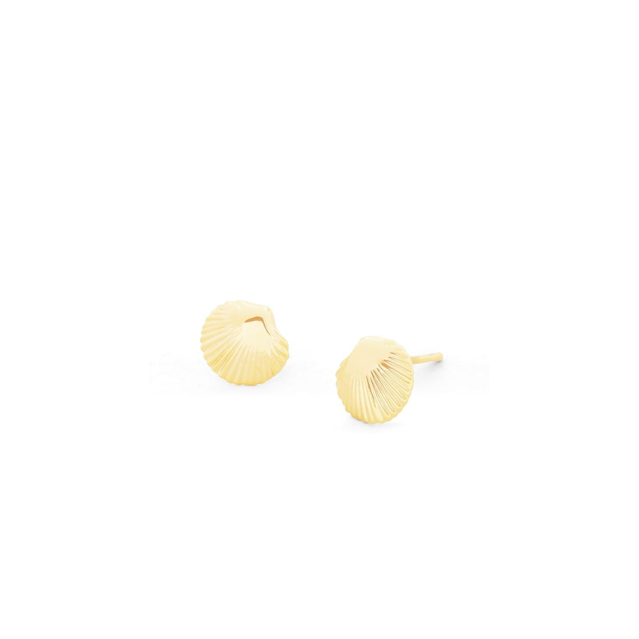 Dive into elegance with these stunning shell stud earrings, inspired by Tipperary's enchanting coastal beauty. Each pair captures the natural charm of the sea with delicate shell detailing that brings a touch of ocean-inspired sophistication to any look.