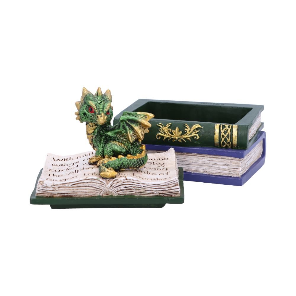 Nemesis Now Dragonling Diaries Green 
