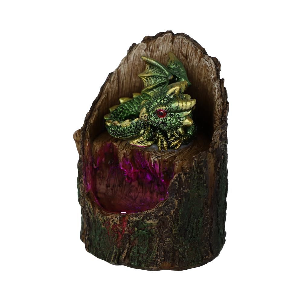Nemesis Now Arboreal Hatchling in Tree Trunk Light Up Figurine