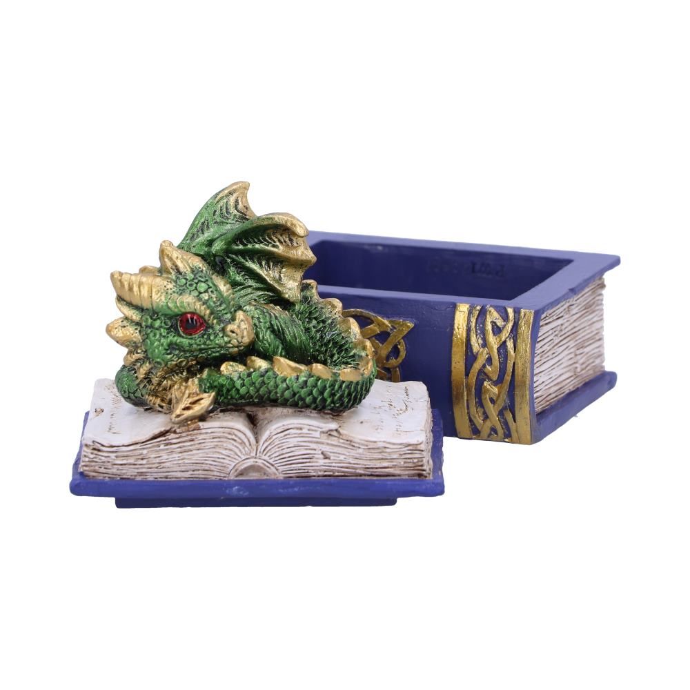 Nemesis Now Green Bedtime Stories Dragon Book Box