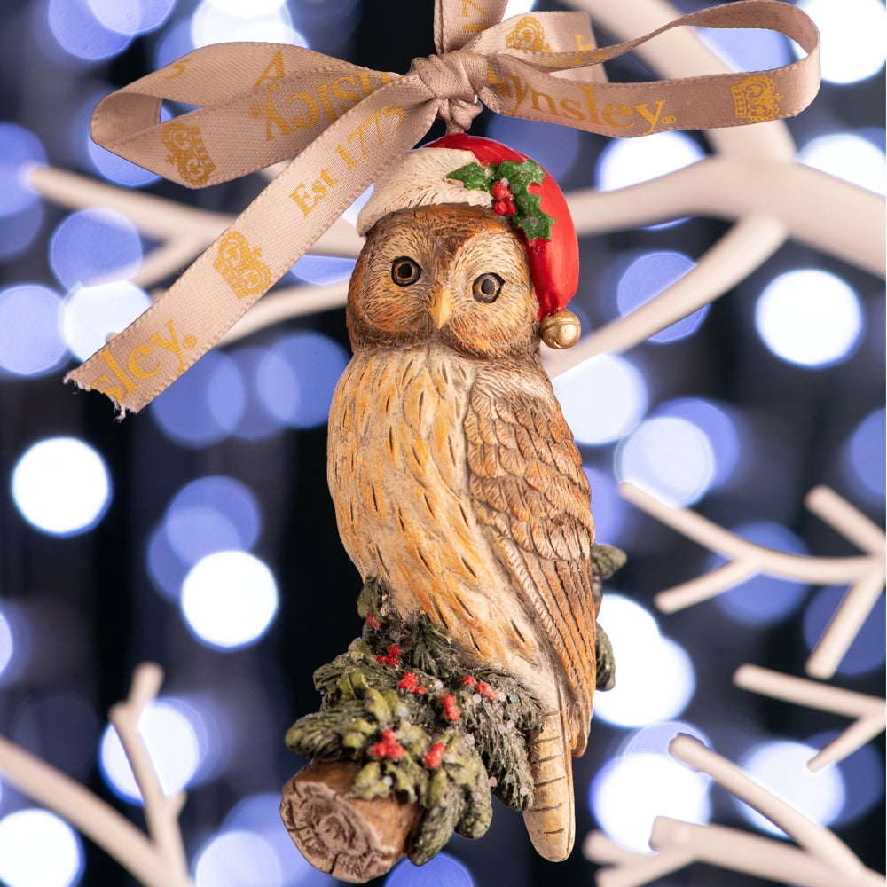 Christmas Owl Hanging Ornament  The wise woodland Owl looks more festive than usual in this beautiful detailed Christmas ornament. Full of festive fun and woodland charm this Ornament is presented in a beautiful gift box, and tied with a branded ribbon.