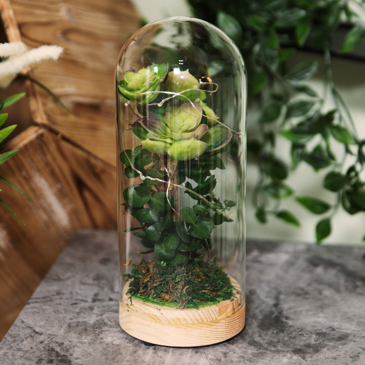 Dome Glass Terrarium - Artificial Succulent & LEDs 22.5 cm  A beautiful glass terrarium light with green artificial succulents. From the Retreat collection by HESTIA® - create a haven of soothing minimalism at home.