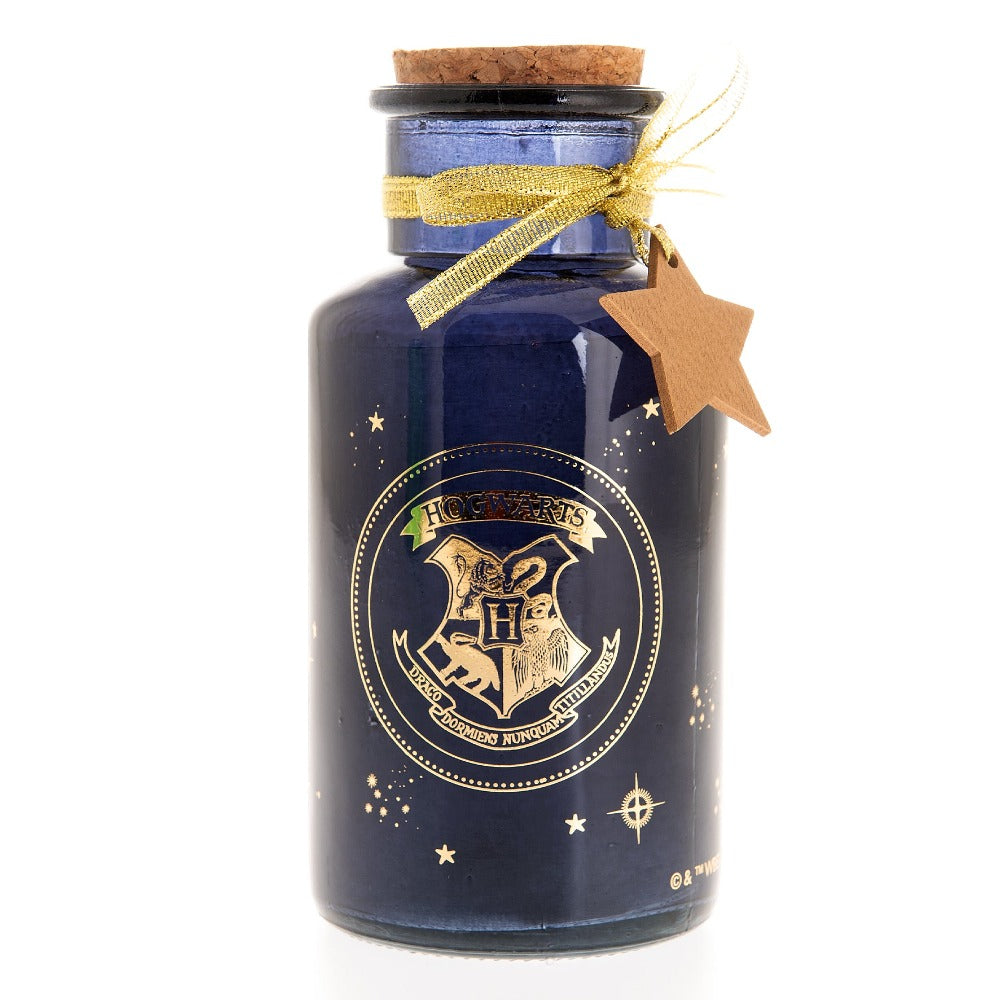 Harry Potter LED Light Up Glass Jar - Hogwarts Crest  Lumos maxima! Light up your home this Christmas with this Hogwarts LED glass jar light. With a stunning blue and gold design, this fun accessory is sure to add a touch of magic to your home this Christmas.