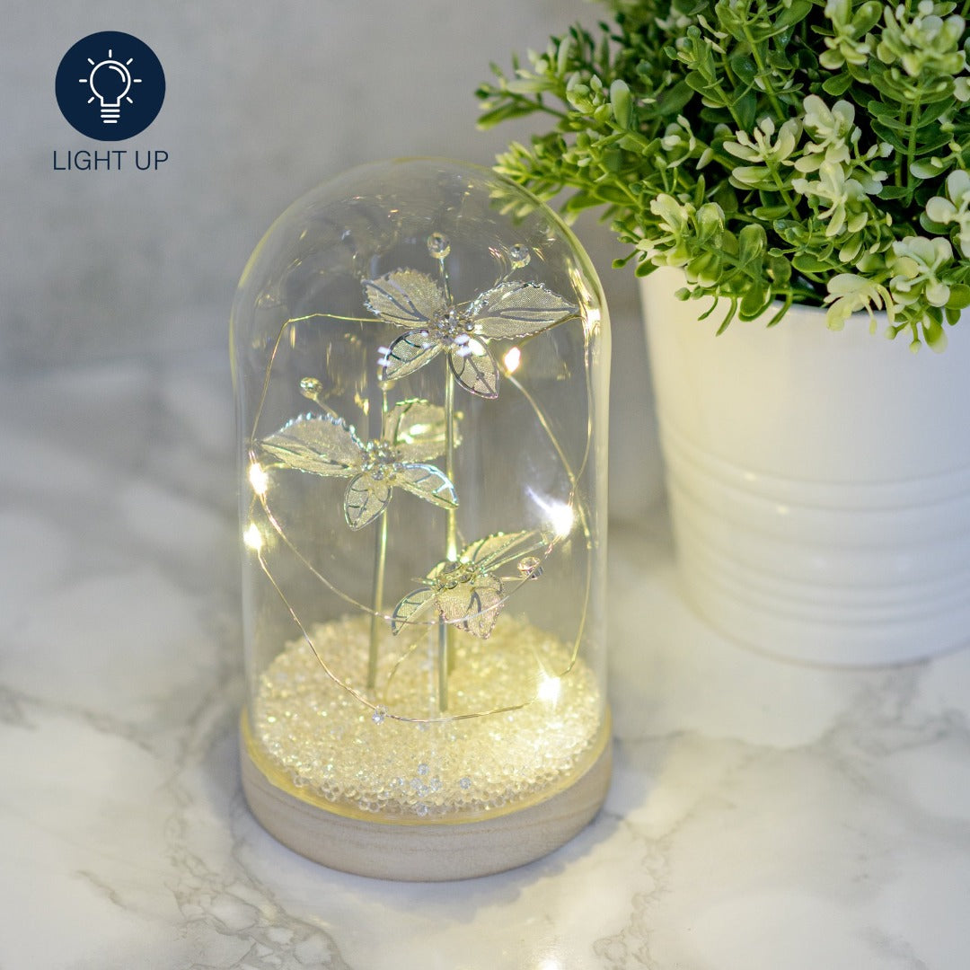 Jewel Butterfly Light Up LED Large Cloche